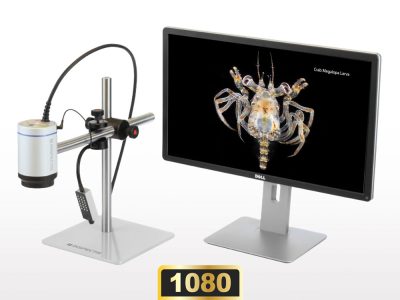 F30s Modular Digital Microscope with Full HD 60fps Performance