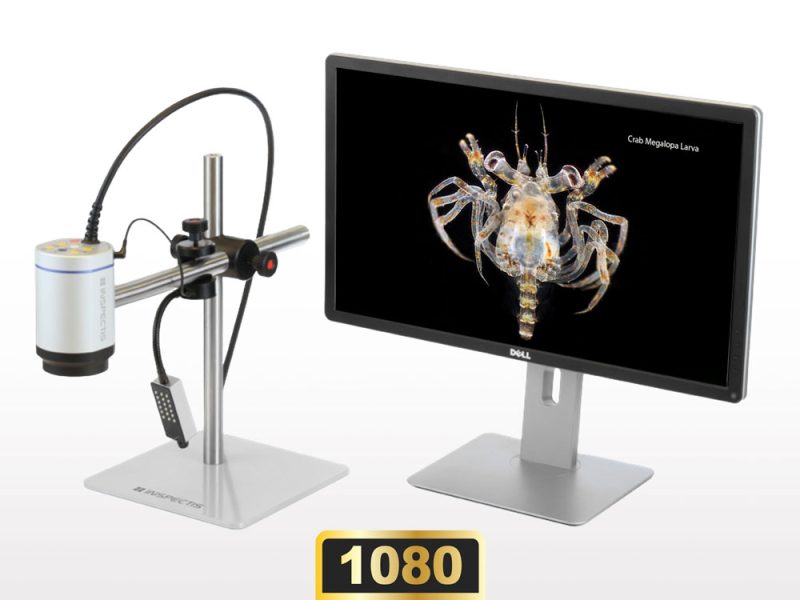 F30s Modular Digital Microscope with Full HD 60fps Performance