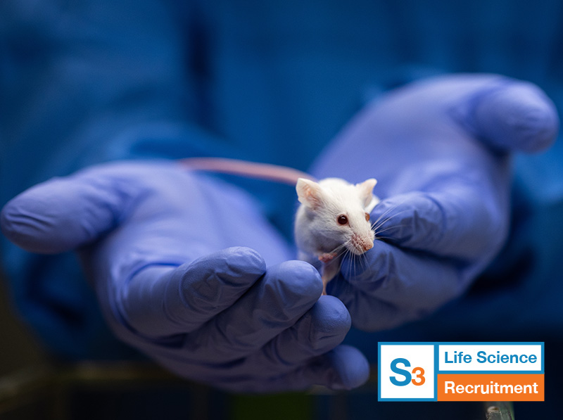 Experienced Animal Technician