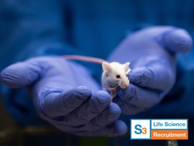 Trainee Animal Technician