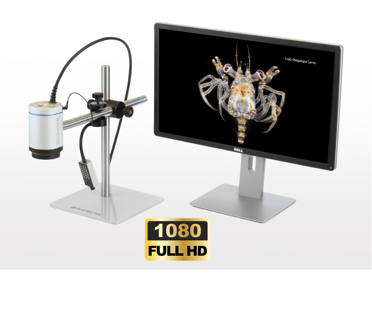 Fs3000 Microscope Introducing the F30s Modular Digital Microscope - Life Science Index