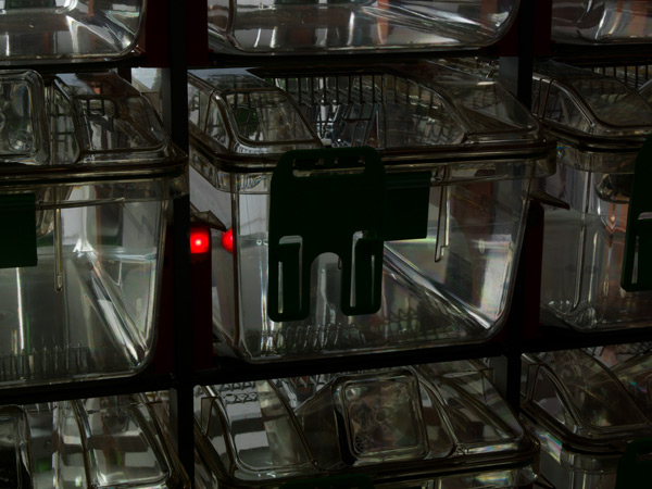 Digital Ventilated Cages DVC®