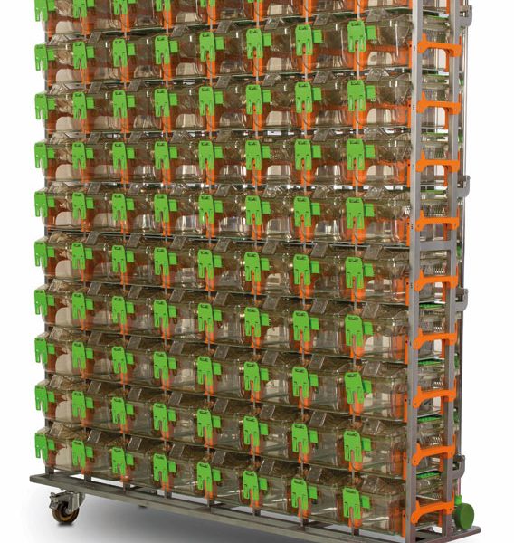 Digital Ventilated Cages DVC®