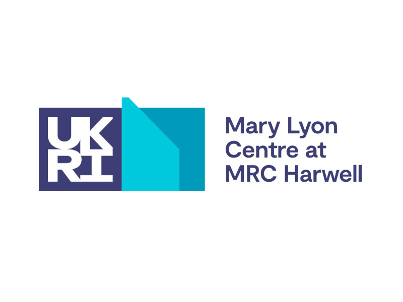 The MLC Graduate Development Programme