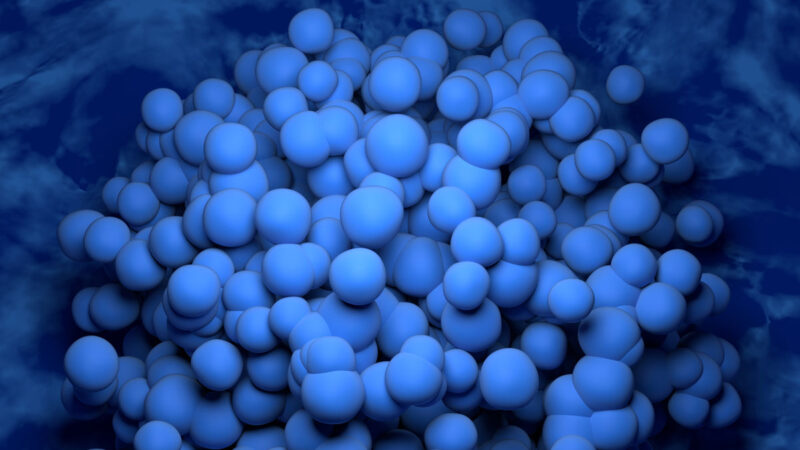 Glioblastoma