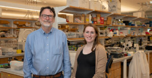 Brain activity predicts alcohol relapse in mice